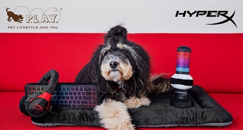 HyperX lanza una edición limitada de juguetes para mascotas