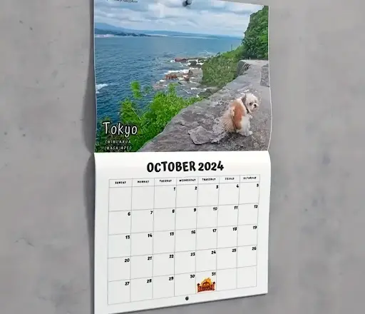 Temu presenta calendarios divertidos para iniciar el 2024